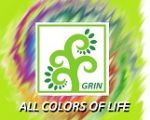 Фліпчарти GrinColorBoards