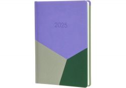 Ежедневник датированный 2025 Economix COMBO А5