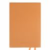 Ежедневник А5 Leo Planner недатированный Amber терракотовый