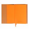 Ежедневник А5 Leo Planner недатированный Amber терракотовый