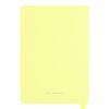 Щоденник А5 Leo Planner недатований Ray