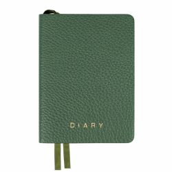 Щоденник А6 Leo Planner 2027 Flow зелений