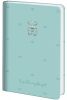 Ежедневник датированный 2027 Axent Partner Elegance Keep shining bright A5