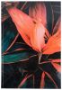 Книга записна А4 Axent Flora в клітинку