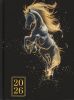 Ежедневник датированный 2026 Buromax HORSE A5