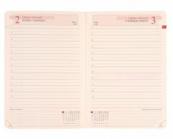 Щоденник А5 Leo Planner 2027 Legacy чорний