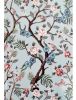 Книга записна А4 Axent Birds&Flowers в клітинку
