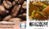 Кофе молотый Арабика Марагоджип Гватемала 250 грамм