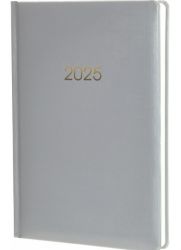 Щоденник датований 2024 Economix Spectrum